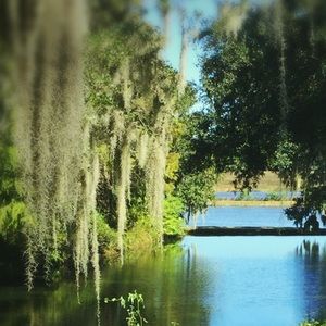 Meet your Posher, Evelyn claire